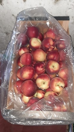 LOS MUCHOS FRUTAS Y VERDURAS 