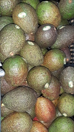 LOS MUCHOS FRUTAS Y VERDURAS 