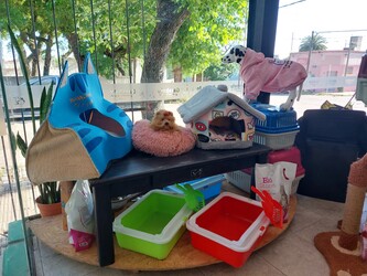 Garabato Petshop & Groomer 