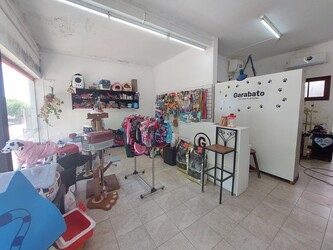 Garabato Petshop & Groomer 