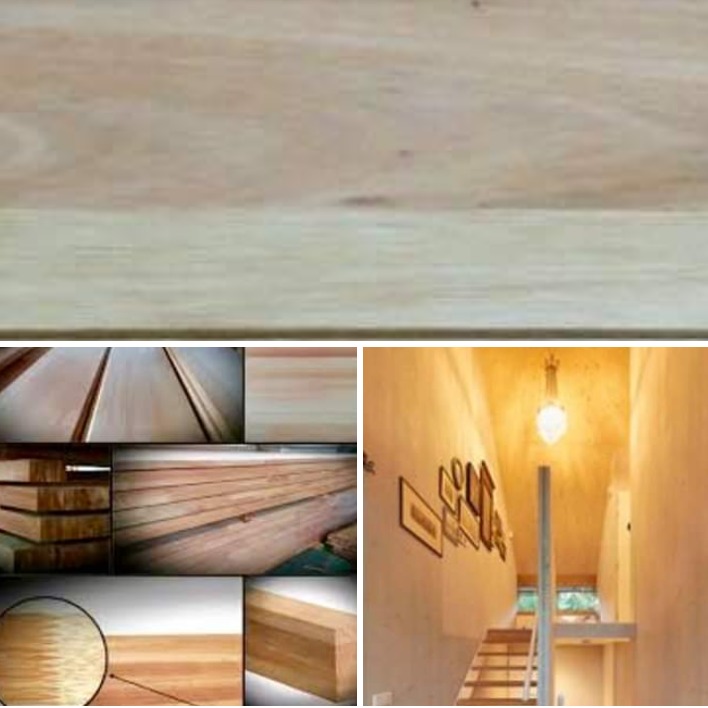 ASERRADERO EL PUNTAL  