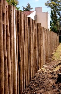 ASERRADERO EL PUNTAL 