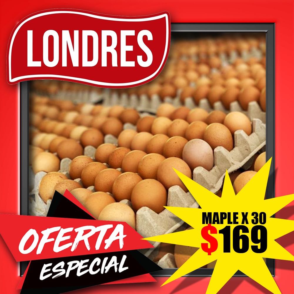 Mayorista Londres Maple de Huevos 