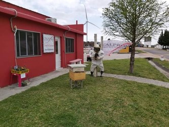 COOPERATIVA CALPROMI (SEDE APICULTORES) 