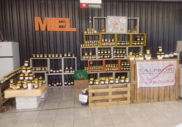 COOPERATIVA CALPROMI (SEDE APICULTORES) 