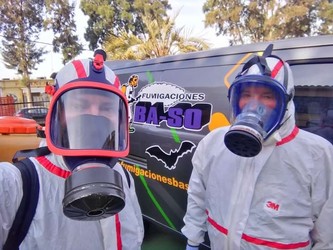 Fumigaciones Ba-So 
