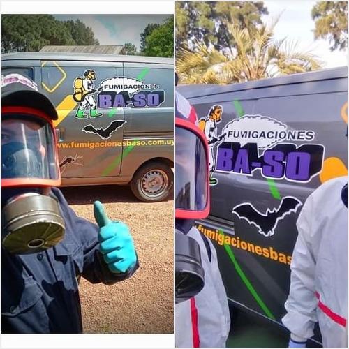 FUMIGACIONES BA-SO Fumigaciones Ba-So