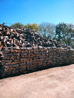 BARRACA DE LEÑA SAN CONO DE NUEVO PARÍS 
