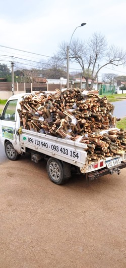 BARRACA DE LEÑA SAN CONO DE NUEVO PARÍS 