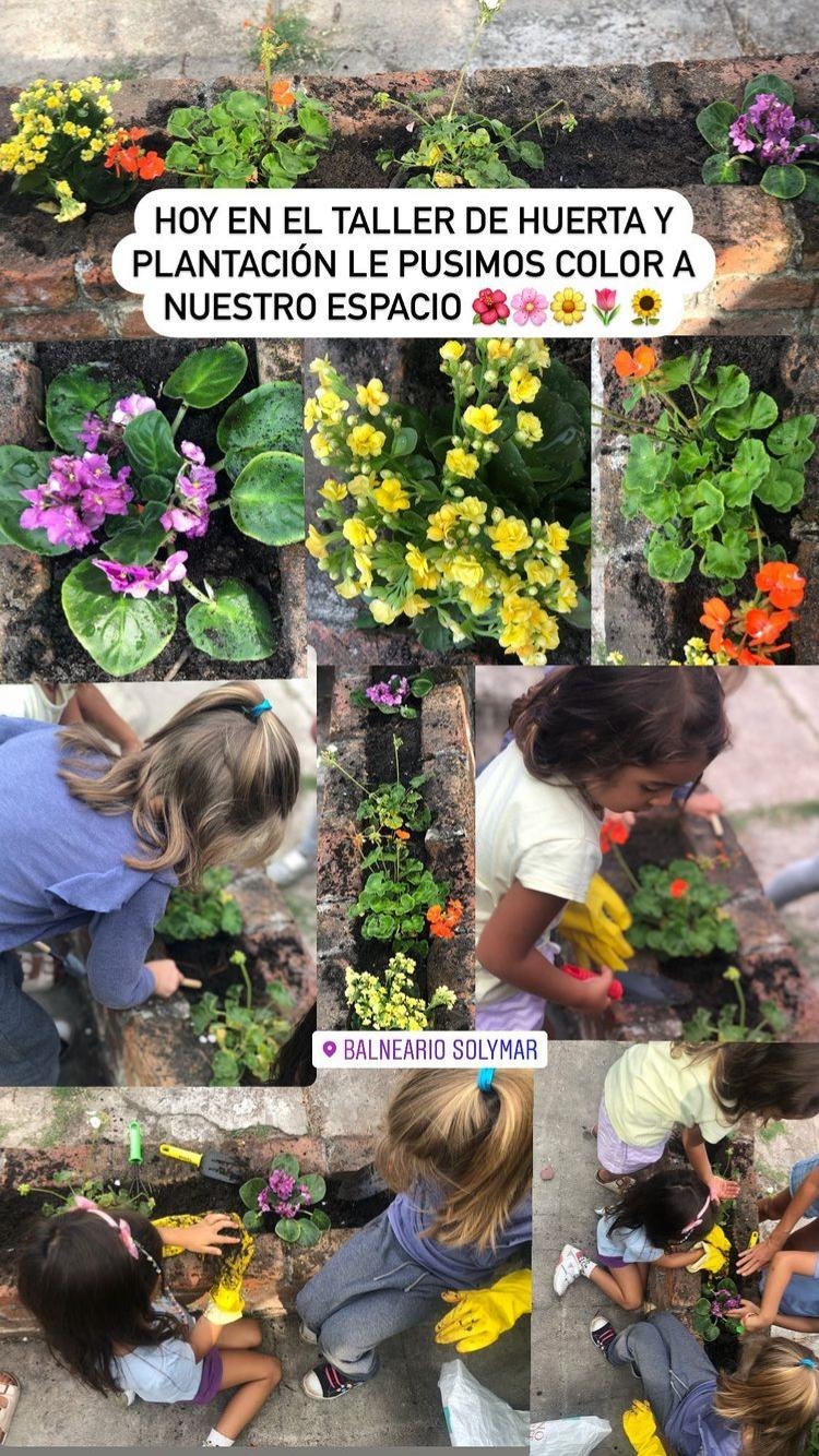 ESPACIO LUDUS ESPACIO LUDUS Talleres de huerta