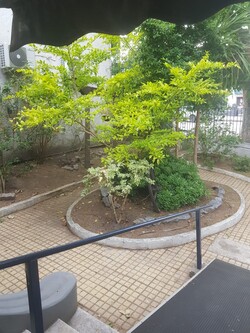 RESIDENCIAL SUEÑO DE HOGAR 