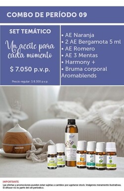 TERAPIA DE REIKI STEFANI MATTOS 