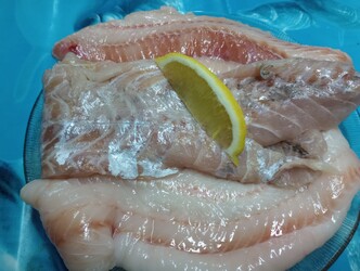 PESCADERIA A BUEN PUERTO 