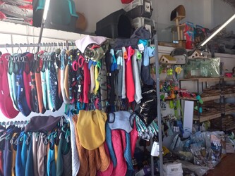 AGROMASCOTAS NUEVO CAMINO 