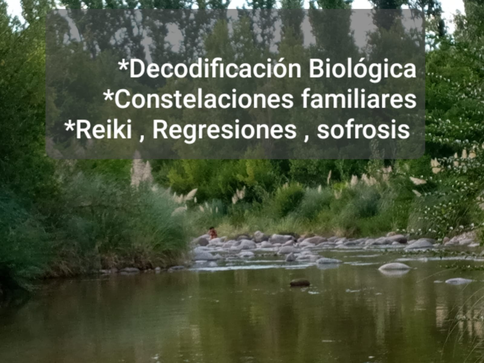 ARMONIZARTE Decodificacion biologica, constelaciones familiares, Regreciones, sofrosis, Reiki 