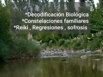 ARMONIZARTE Decodificacion biologica, constelaciones familiares, Regreciones, sofrosis, Reiki