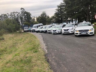 SERVICIO DE TRANSPORTE LEO 