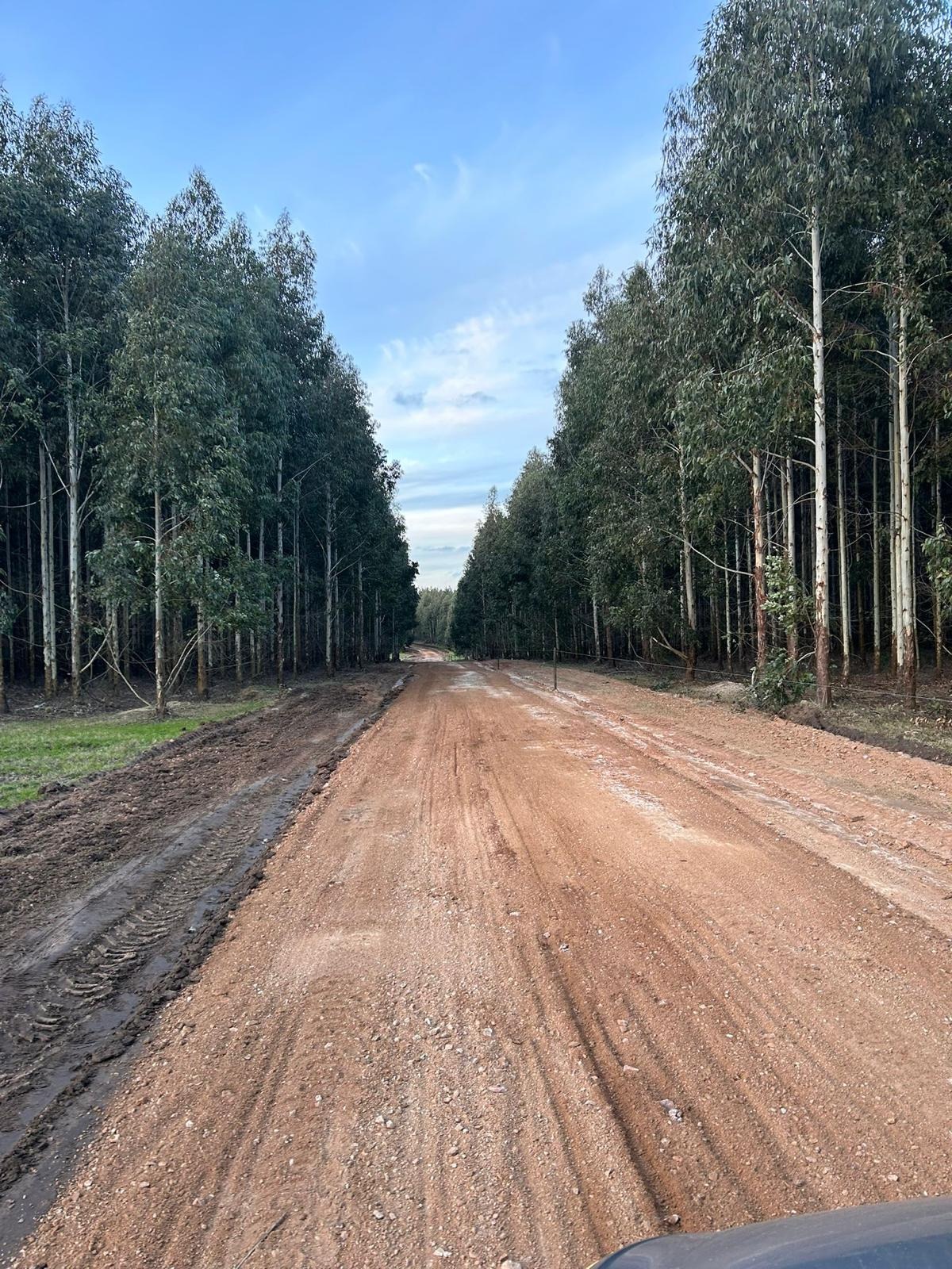 Davant construcciones  