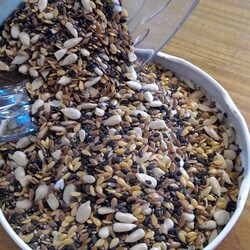 ALMACEN NATURAL PINDO Mix de semillas