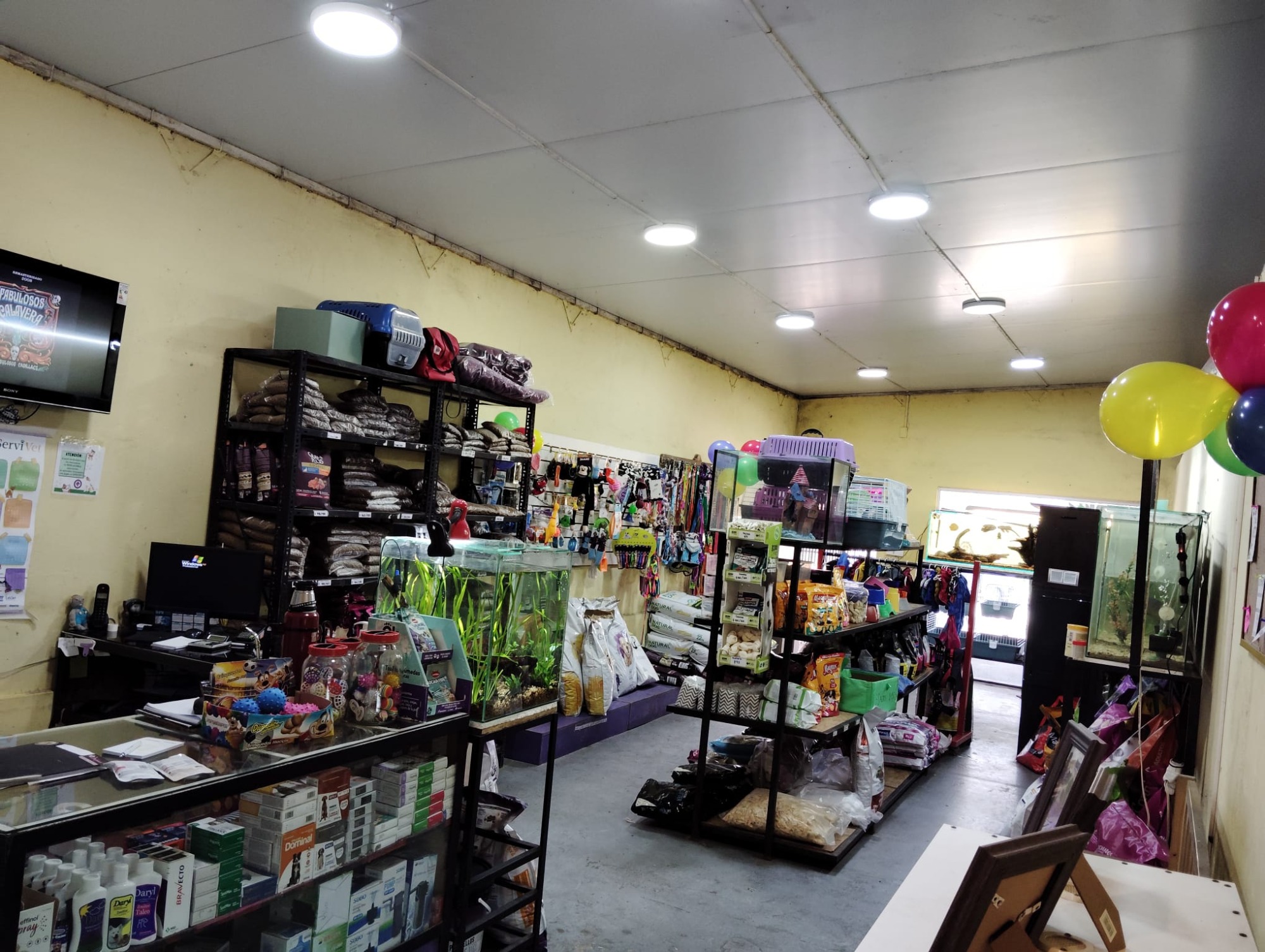 Veterinaria VALKIRIA  