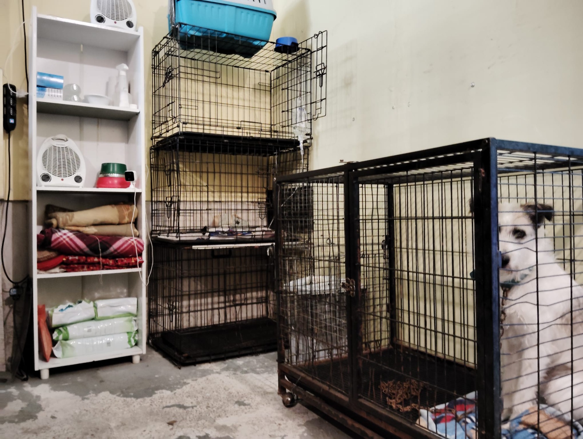 Veterinaria VALKIRIA  