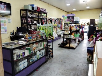 Veterinaria VALKIRIA 