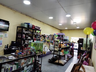 Veterinaria VALKIRIA 