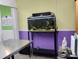 Veterinaria VALKIRIA 