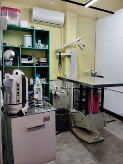 Veterinaria VALKIRIA 