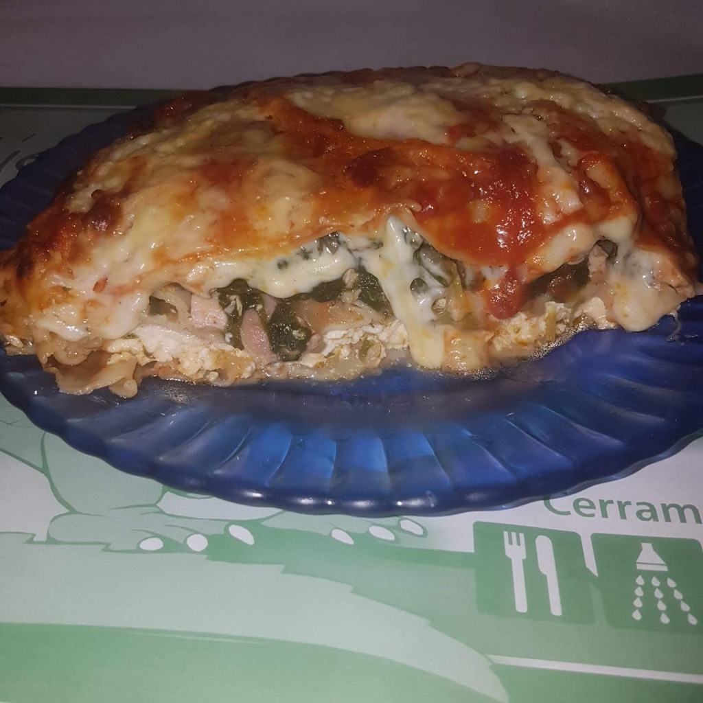 PARADOR EL CAIMAN lasaña de masa casera 