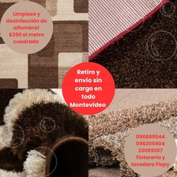 TINTORERIA Y LAVADERO FLOPY No te quedes sin lavar tu alfombra