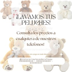 TINTORERIA Y LAVADERO FLOPY LIMPIAMOS SUS PELUCHES