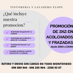 TINTORERIA Y LAVADERO FLOPY 