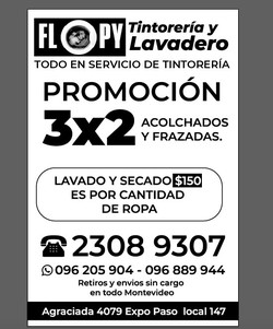 TINTORERIA Y LAVADERO FLOPY Tintoreria y Lavadero en Paso Molino