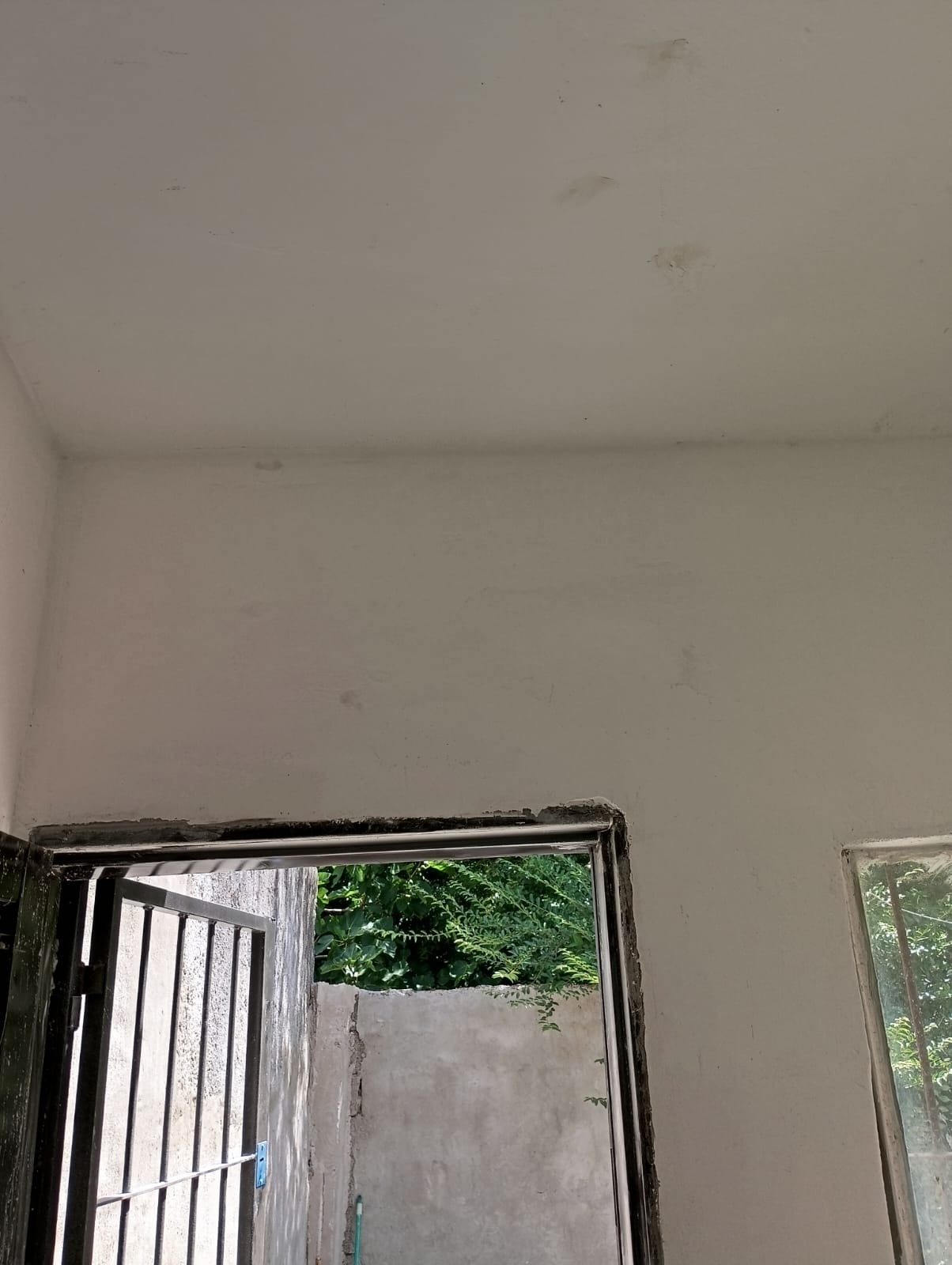 LS PINTURAS Y REFORMAS  