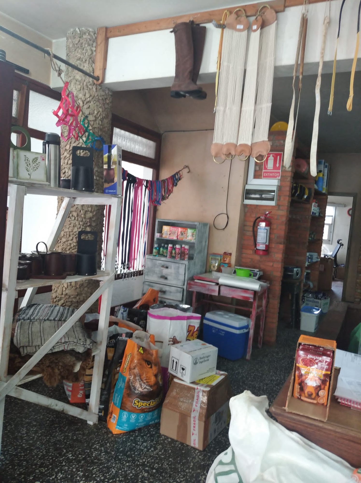 Don Fermín Veterinaria  