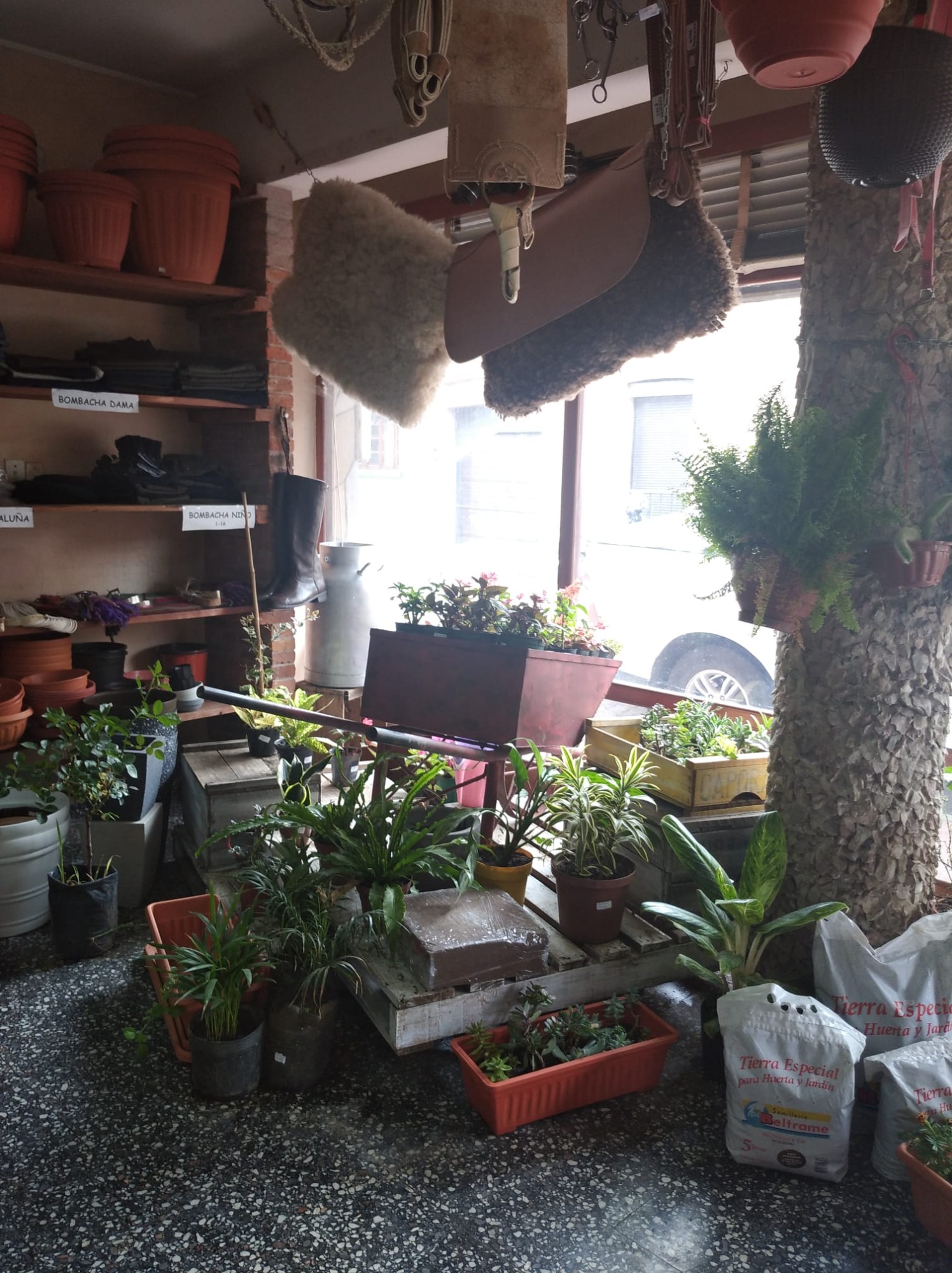 Don Fermín Veterinaria  