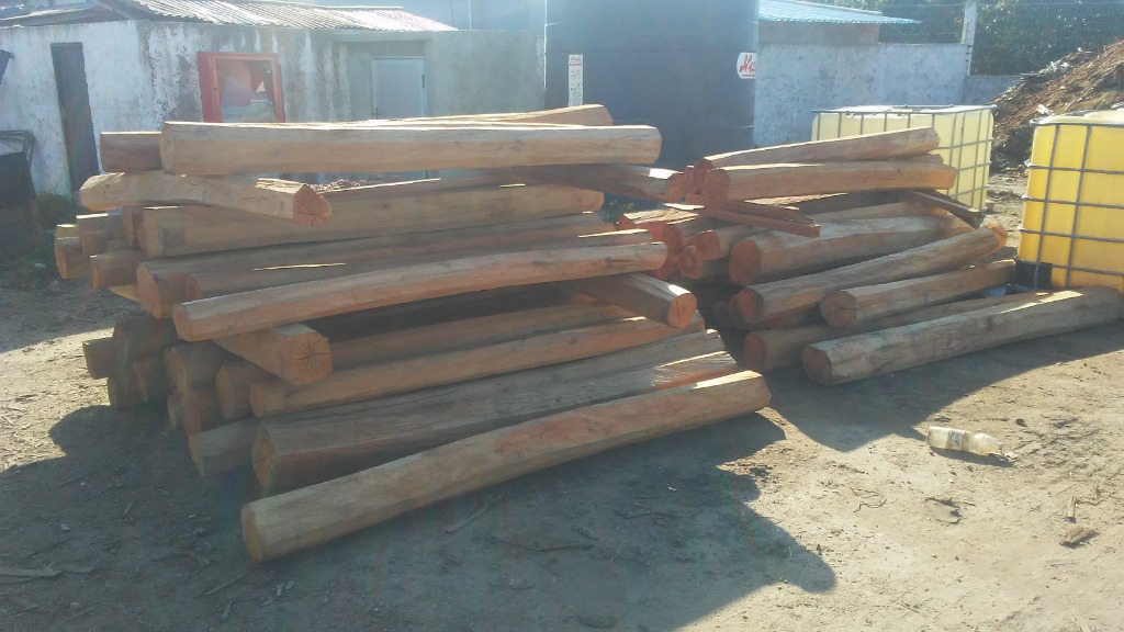 LEÑERÍA Y BARRACA DE LEÓN  