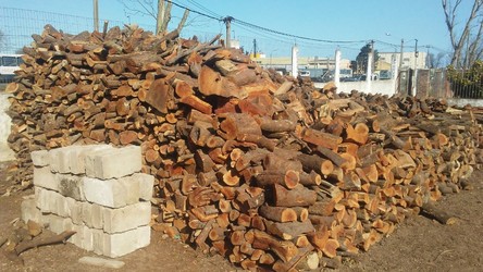 LEÑERÍA Y BARRACA DE LEÓN 