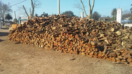 LEÑERÍA Y BARRACA DE LEÓN 