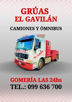 GRUAS EL GAVILAN 