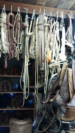 LA MADRINA ZAPATERÍA 