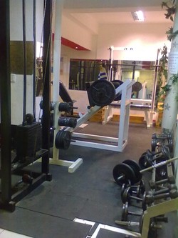 GIMNASIO ALCION 