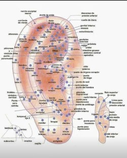 TERAPIAS ALTERNATIVAS SHANTI GIAMA 