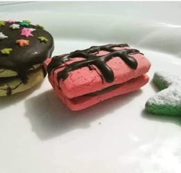 EXQUISITO SIN GLUTEN 