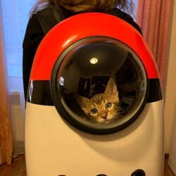 CLÍNICA VETERINRIA MEDIVET 