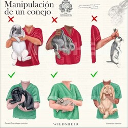 CLÍNICA VETERINRIA MEDIVET 