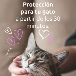 CLÍNICA VETERINRIA MEDIVET 