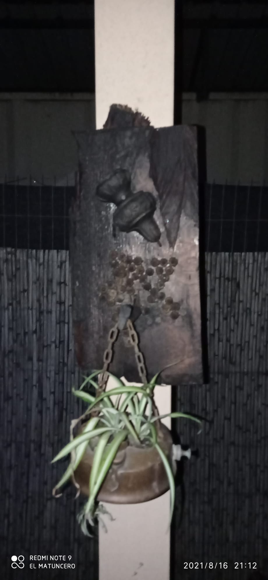 SOLUCIONES JUAN CARLOS Soluciones Juan Carlos  