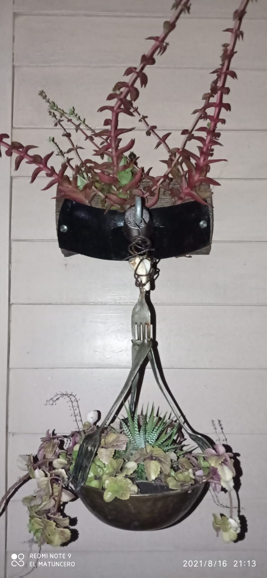 SOLUCIONES JUAN CARLOS Soluciones Juan Carlos  